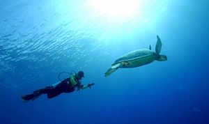 Derawan Turtle Sanctuary_Borneo_img_feat_marine1_june2009